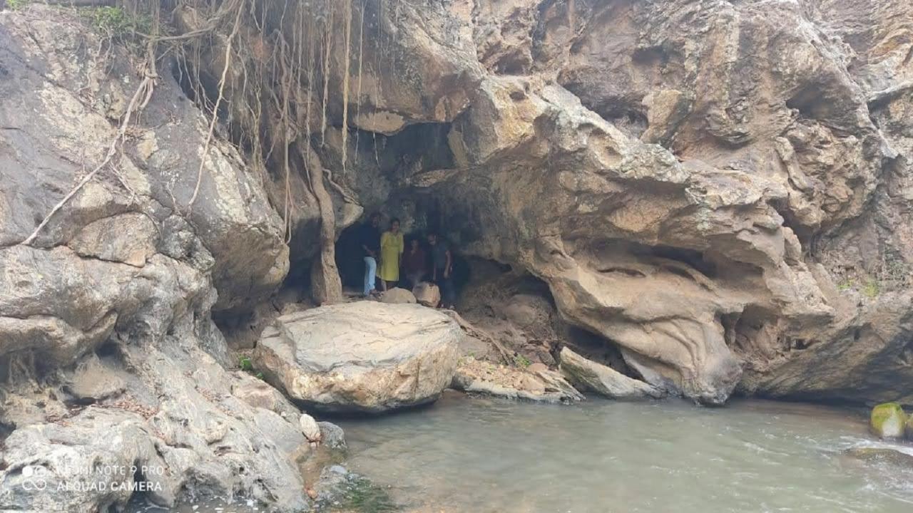 Misty Valley Resort Varagampadi المظهر الخارجي الصورة